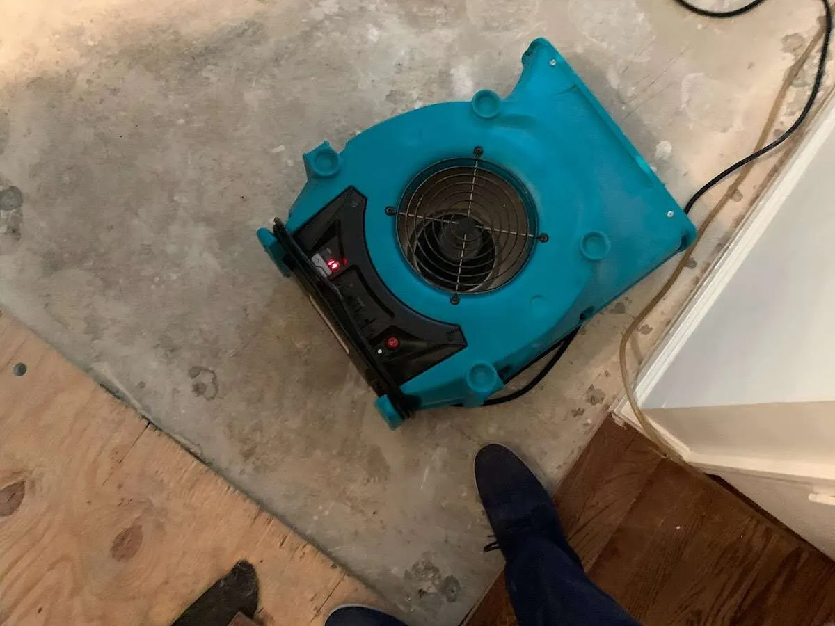 Air mover drying subfloor during Commercial Water Damage Restoration in Bridgetown